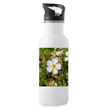 rock cinquefoil Felsen-Fingerkraut Potentilla - Water bottle with straw - white - Right
