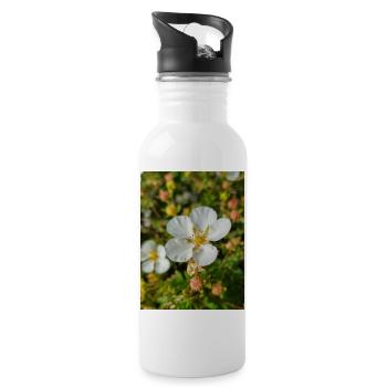 rock cinquefoil Potentilla rupestris - Water bottle with straw - white - Right