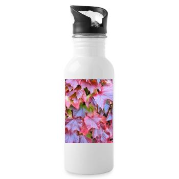 Rote Herbstblätter Reben Herbst Blätter Laub Photo - Trinkflasche mit integriertem Trinkhalm - Weiß - Rechts