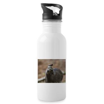 000 3550 NEF - Water bottle with straw - white - Right