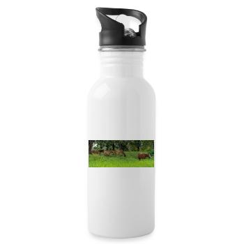 horses in the meadow - Water bottle with straw - white - Right