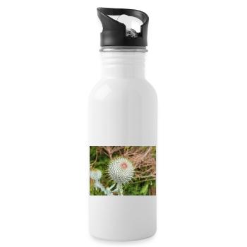 Scotch Baumwolldistel auch Wolldistel - Trinkflasche mit integriertem Trinkhalm - Weiß - Rechts