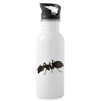 Ant - Water bottle with straw - white - Right