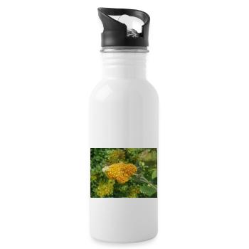 buddleia, butterfly bush or summer lilac 'Sungold' - Water bottle with straw - white - Right