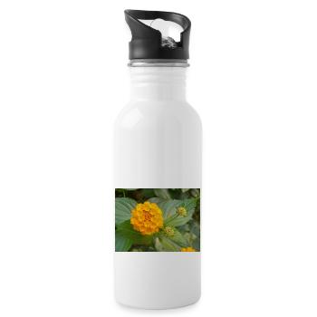 Lantana auch spanische Flagge Wandelröschen Lantana - Trinkflasche mit integriertem Trinkhalm - Weiß - Rechts
