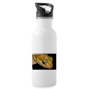 Paroedura picta - Madagasar ground gecko - Trinkflasche mit integriertem Trinkhalm - Weiß - Rechts