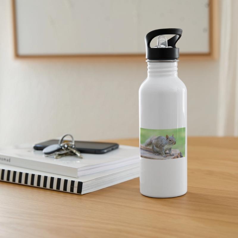 Grey squirrel Grauhörnchen Sciurus carolinensis Water bottle with straw