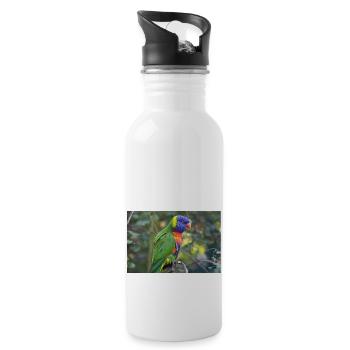 Rainbow lorikeet (Allfarblori, Trichoglossus) - Water bottle with straw - white - Right