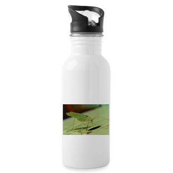 Krauss's Bush-cricket Isophya kraussii - Water bottle with straw - white - Right