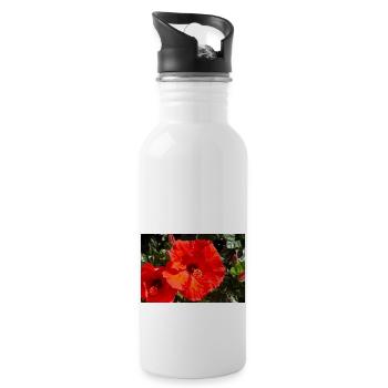 Hibiscus rosa-sinensis also Chinese hibiscus - Water bottle with straw - white - Right
