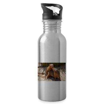 dwarf mongoose (in german Zwergmangusten) Helogale - Water bottle with straw - silver - Right