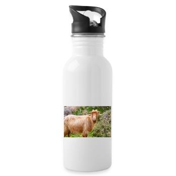 Chèvre de montagne dans le parc national Λίμνη Συμπ - Gourde avec paille intégrée - blanc - Droite
