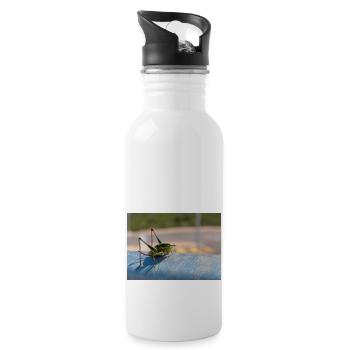 Eupholidoptera Eupholidoptera chabrieri - Water bottle with straw - white - Right