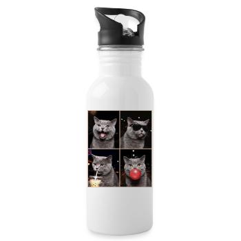 Cats British Shorthair Cat - Water bottle with straw - white - Right