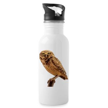 owl owl - Water bottle with straw - white - Right
