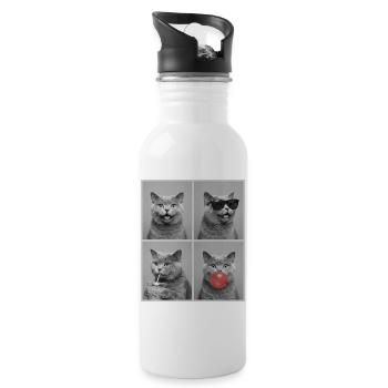 Cats British Shorthair Cat - Water bottle with straw - white - Right