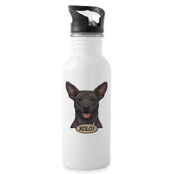 Xoloitzcuintli Dog Retro Vintage Comic Design - Water bottle with straw - white - Right