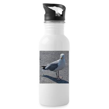 Mouette urbaine au regard vif - Gourde avec paille intégrée - blanc - Droite