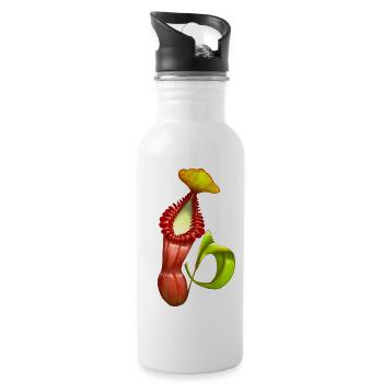 Plantes carnivores Plante de cannelle Nepenthes - Gourde avec paille intégrée - blanc - Droite