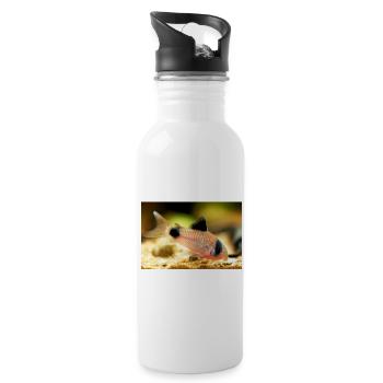 Corydoras panda catfish, panzerwels, pandawels - Water bottle with straw - white - Right