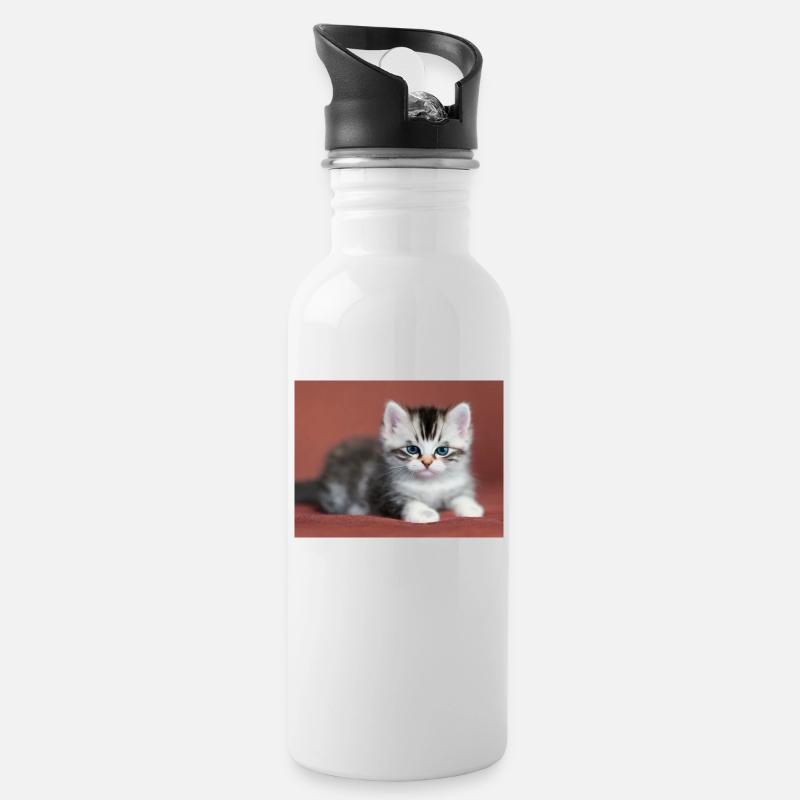 Blue-eyed kitten - Water bottle with straw - white
