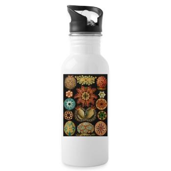 Ernst Haeckel - Ascidiae. Around 1900. - Water bottle with straw - white - Right