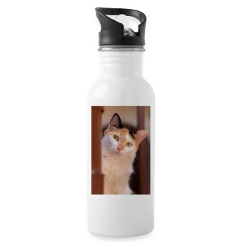 le chat - Gourde avec paille intégrée - blanc - Droite