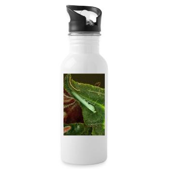 Tropidomantis cf tenue - Trinkflasche mit integriertem Trinkhalm - Weiß - Rechts