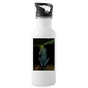 Cochranella granulosa- Glass Frog - Tree Frog - Water bottle with straw - white - Right