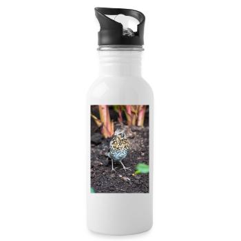 Fieldfare (in german Wacholderdrossel) Turdus pila - Water bottle with straw - white - Right