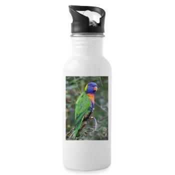 Rainbow lorikeet (Allfarblori, Trichoglossus) - Water bottle with straw - white - Right