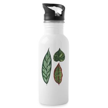 3 feuilles Philodendron apoballis schismatoglottis - Gourde avec paille intégrée - blanc - Droite