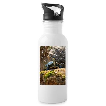 Gelbbauch-Slider Trachemys scripta scripta - Trinkflasche mit integriertem Trinkhalm - Weiß - Rechts