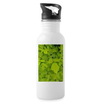Ash maple / Acer negundo - Water bottle with straw - white - Right