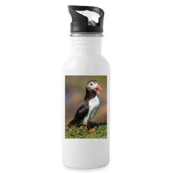 Macareux - Gourde avec paille intégrée - blanc - Droite