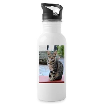 chat, chaton - Gourde avec paille intégrée - blanc - Droite