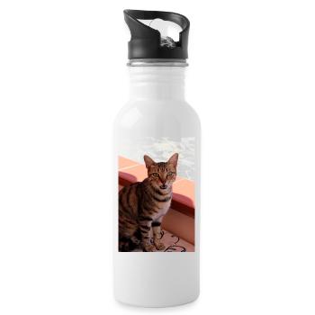 chat, chaton - Gourde avec paille intégrée - blanc - Droite