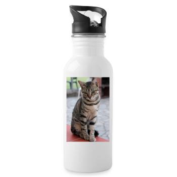 chat, chaton - Gourde avec paille intégrée - blanc - Droite