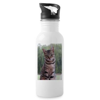 Chat chat chaton doux - Gourde avec paille intégrée - blanc - Droite