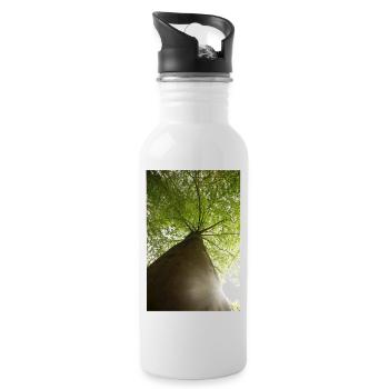Beech at a low angle in spring - Water bottle with straw - white - Right
