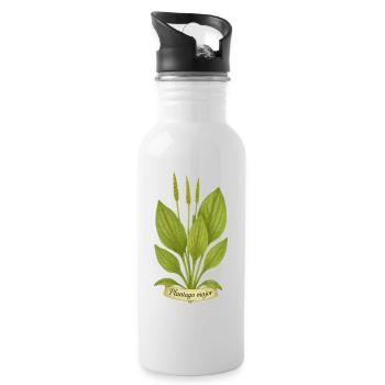 Breitwegerich – Plantago major | Kraft der Bodenkr - Trinkflasche mit integriertem Trinkhalm - Weiß - Rechts