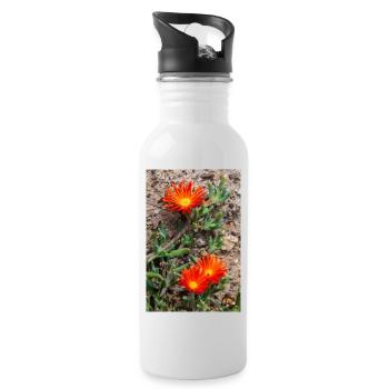 plante de glace rampante rustique plante de glace Delosperma - Gourde avec paille intégrée - blanc - Droite