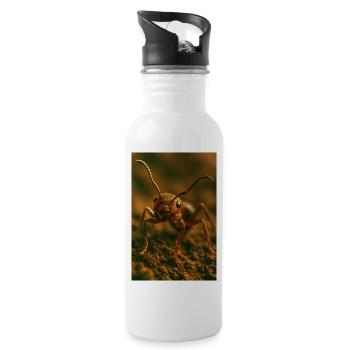 Animals - Ant - Water bottle with straw - white - Right