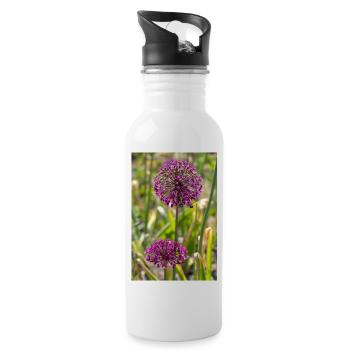 Ornamental leeks in purple: spherical blossoms - Water bottle with straw - white - Right