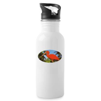 ibis 1 Red Flamingo Amazonia - Water bottle with straw - white - Right
