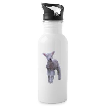 cute lamb - sweet lamb - Water bottle with straw - white - Right