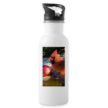 Nördlicher Kardinal - Trinkflasche mit integriertem Trinkhalm - Weiß - Rechts