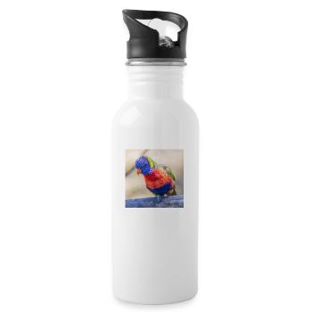Rainbow lorikeet (Allfarblori, Trichoglossus) - Water bottle with straw - white - Right