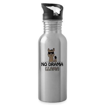 no drama lama - Water bottle with straw - silver - Right