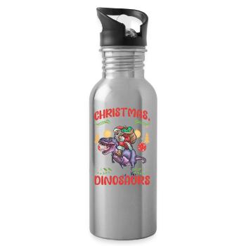 Dinosaur Dino Young Boy Christmas Gift - Water bottle with straw - silver - Right